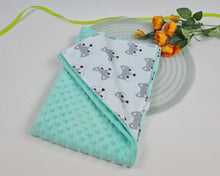 Load image into Gallery viewer, Minky blanket in mint tone with gray stripes