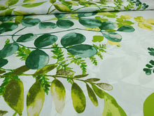 Load image into Gallery viewer, 100% kokvilnas audums eikalipta lapas uz balta fona 3,90EUR/m